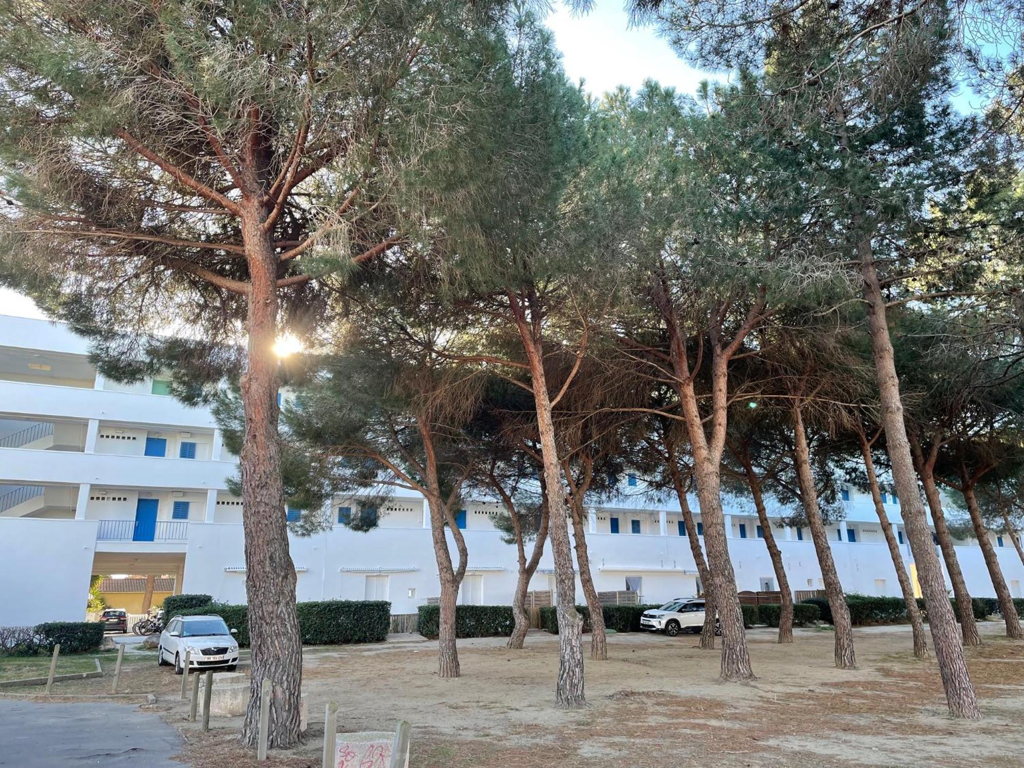 Apartment Miramar By Bellavista - 250 M De La Argeles-sur-Mer
